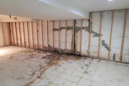 Signs of Basement Water Damage: How to Identify and Address the Problem