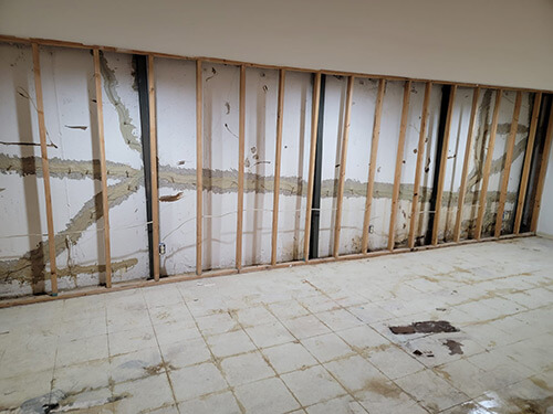 What are the Signs of Basement Water Damage
